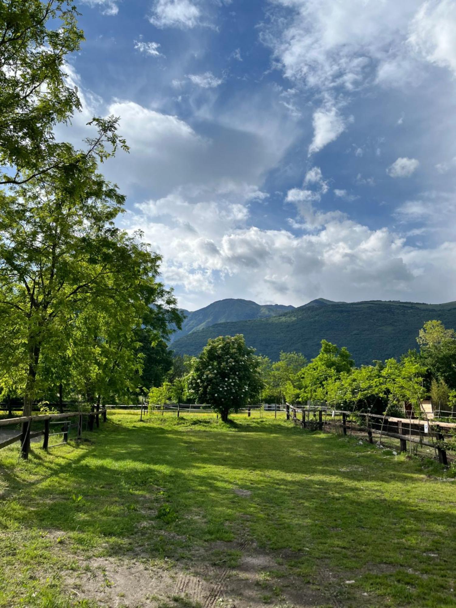 Agriturismo Al Ranch 카스텔로 다비아노 외부 사진