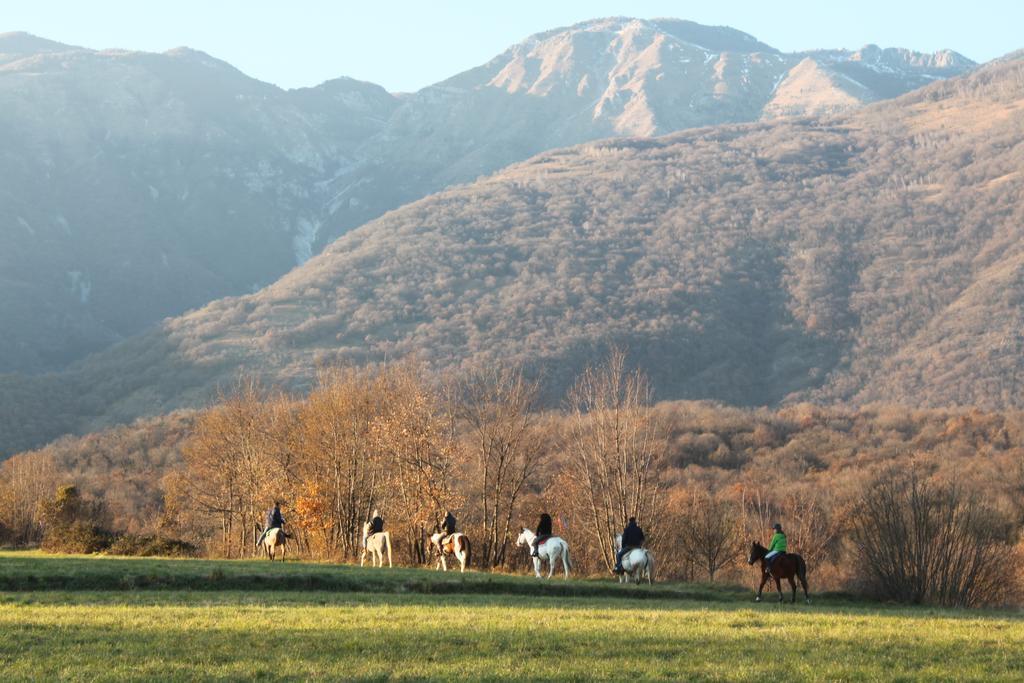 Agriturismo Al Ranch 카스텔로 다비아노 외부 사진